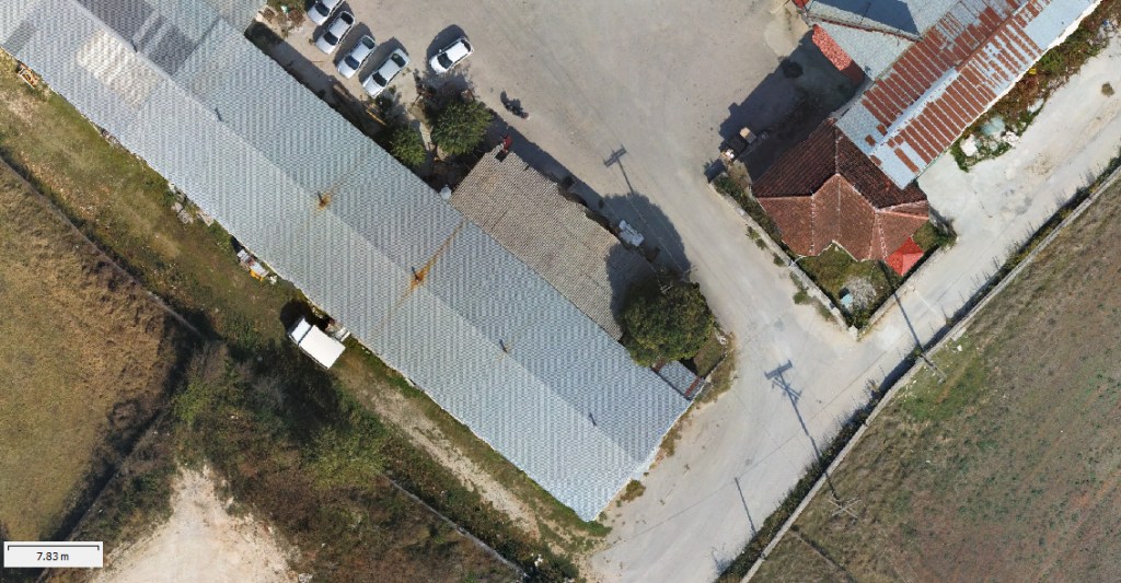 leptomeria-orthophotografias